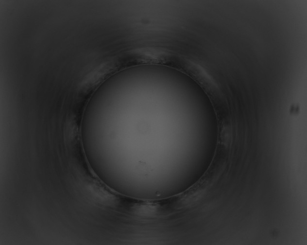 X0000093090318200710031444