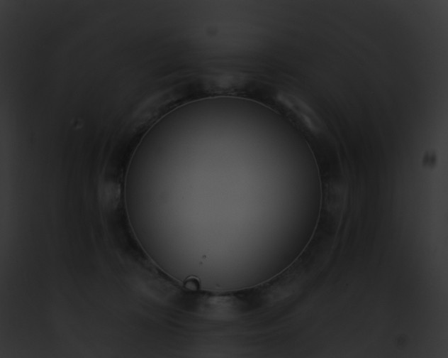 X0000093090324200710031444
