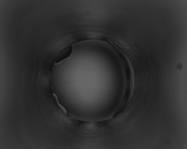 X0000093090325200710031444
