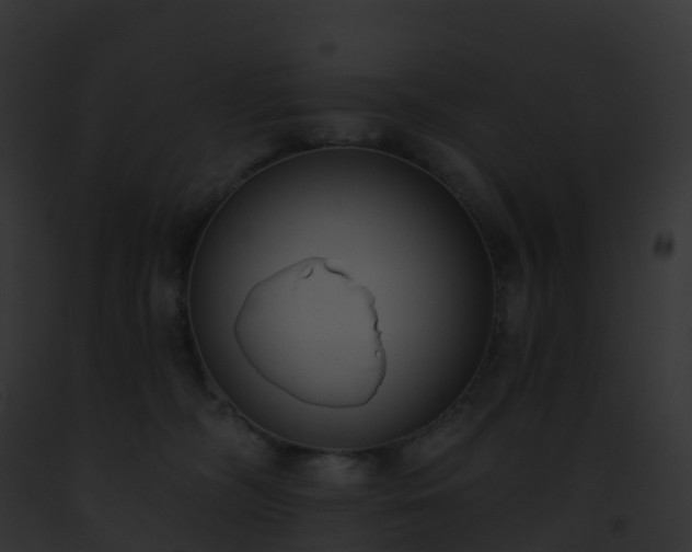 X0000093090326200710031443