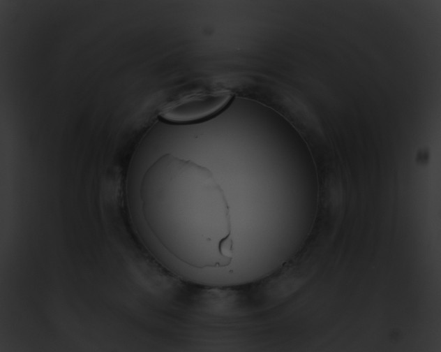 X0000093090328200710031443