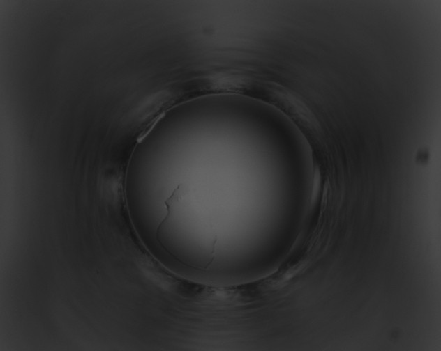 X0000093090329200710031443