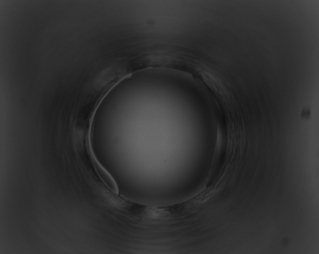 X0000093090333200710031443