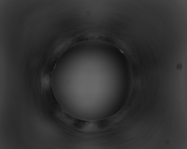 X0000093090335200710031443