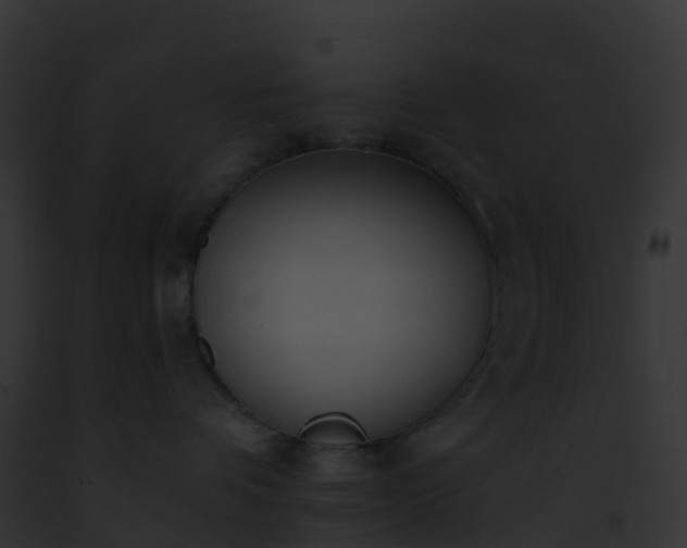 X0000093090336200710031443