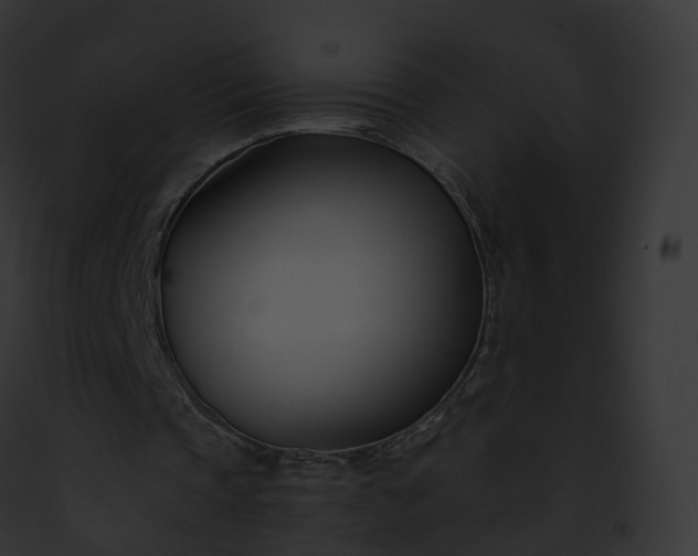 X0000093090337200710031443