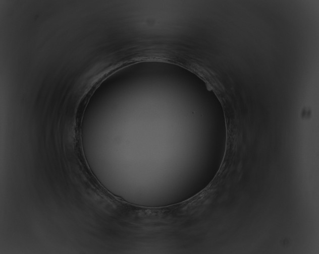 X0000093090338200710031443