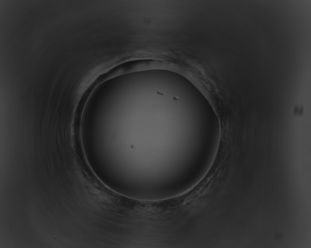 X0000093090340200710031443