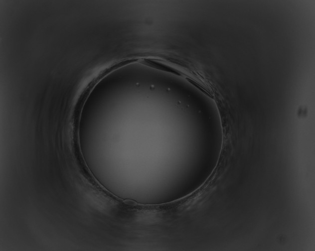X0000093090342200710031443