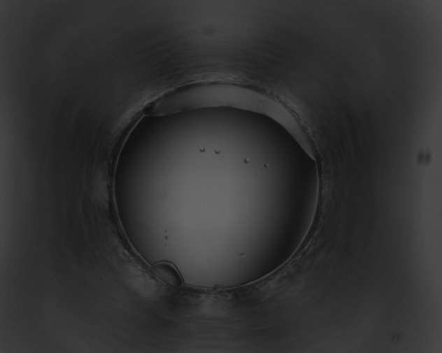 X0000093090345200710031443