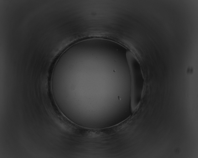 X0000093090346200710031443