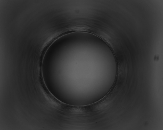 X0000093090349200710031443