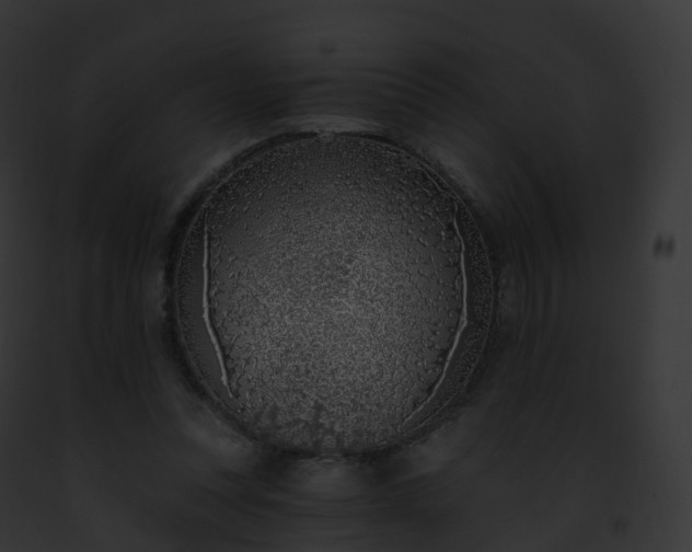 X0000093090351200710031443