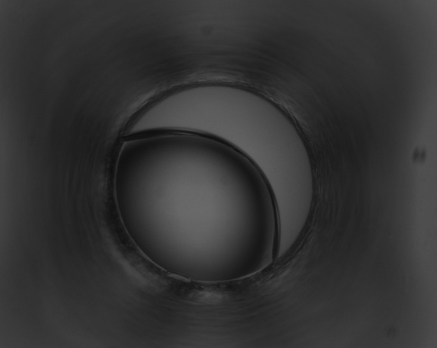 X0000093090352200710031443