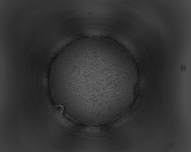 X0000093090353200710031443