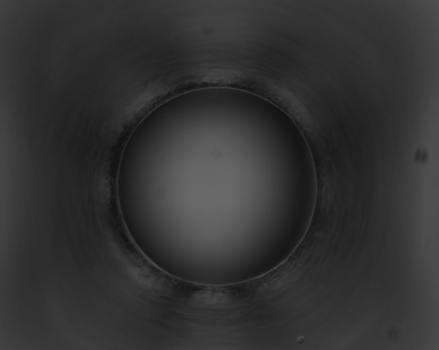 X0000093090354200710031443
