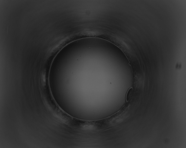 X0000093090358200710031443