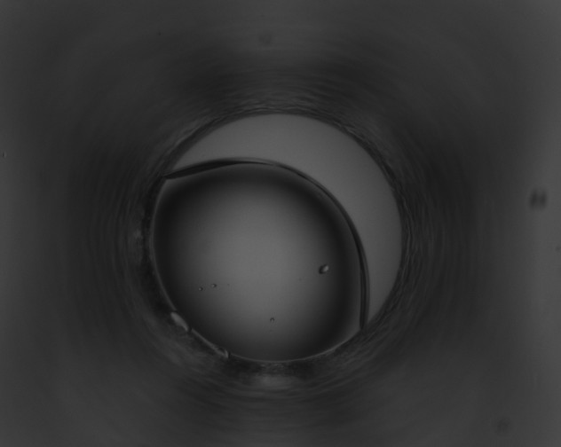 X0000093090360200710031443