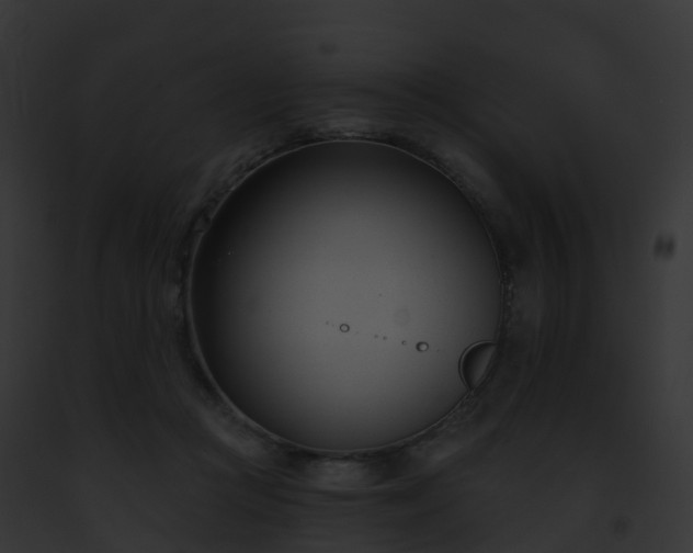 X0000093090361200710031443