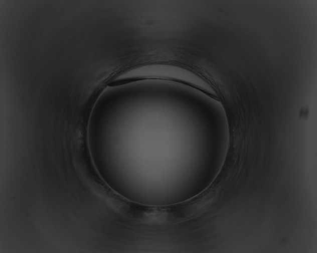 X0000093090362200710031443