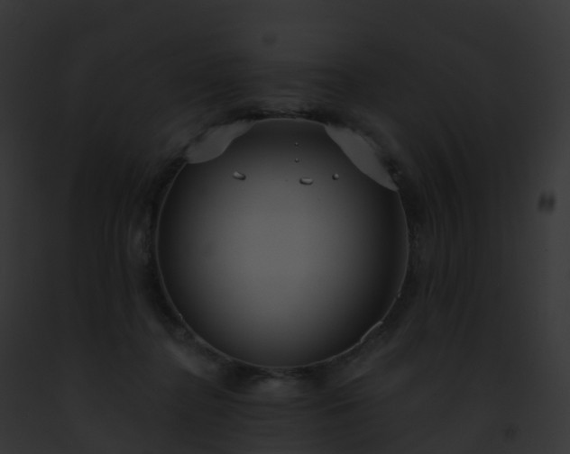 X0000093090364200710031443