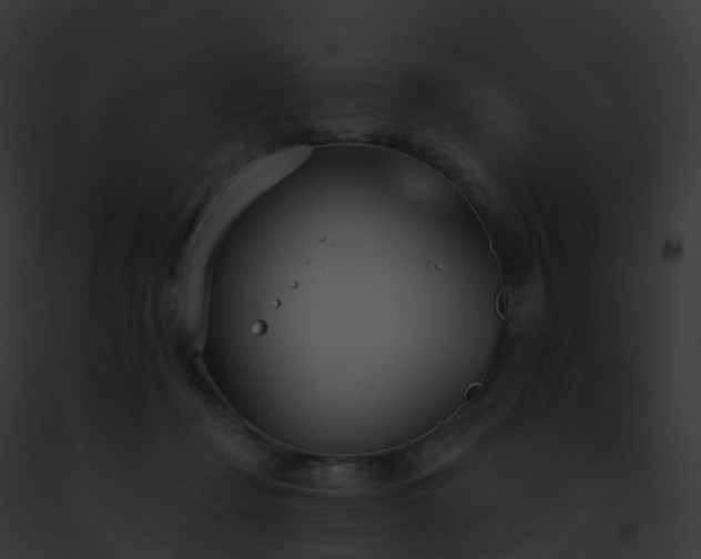 X0000093090365200710031443