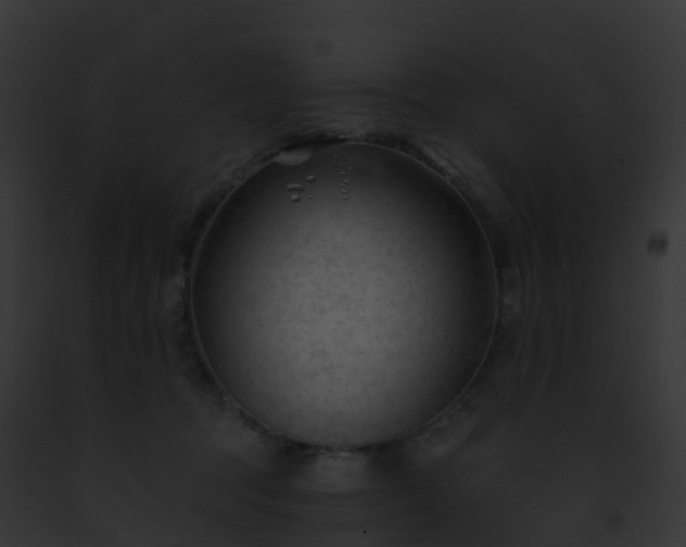 X0000093090369200710031443