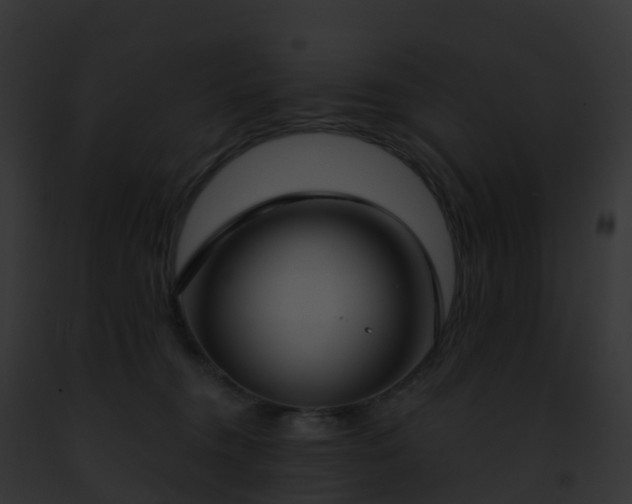 X0000093090372200710031443