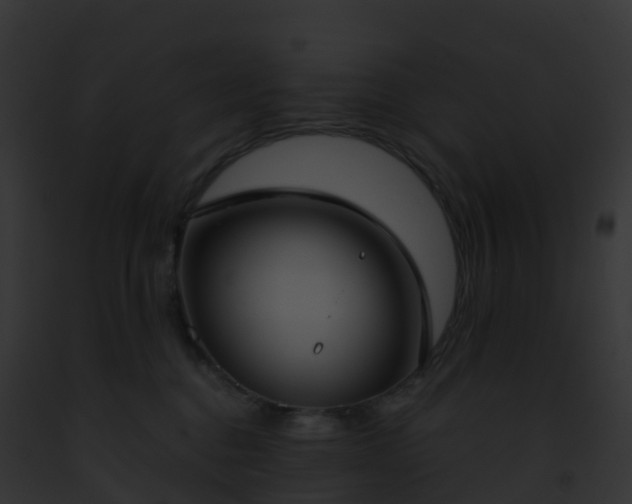 X0000093090376200710031443