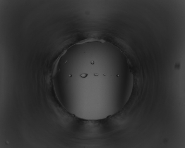 X0000093090380200710031443