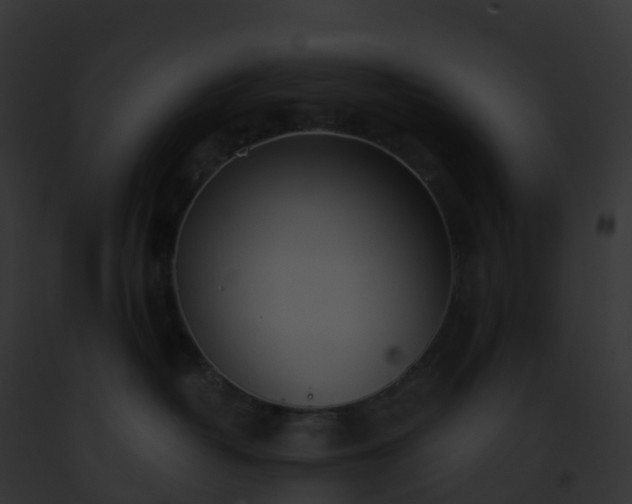 X0000093090382200710031443