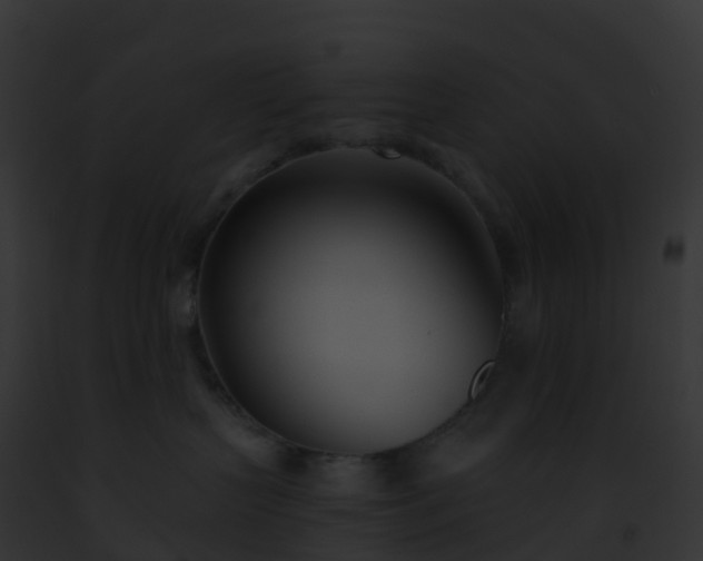 X0000093090383200710031443