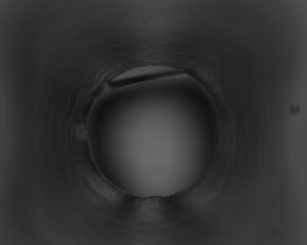 X0000093090384200710031443