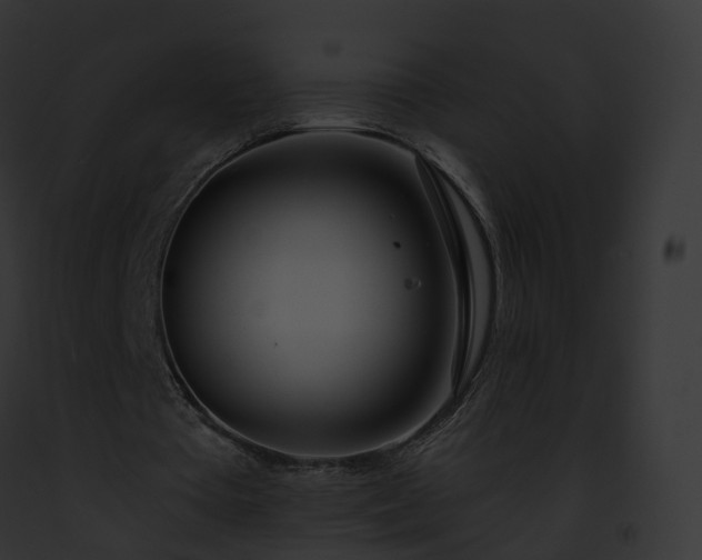 X0000093090385200710031443