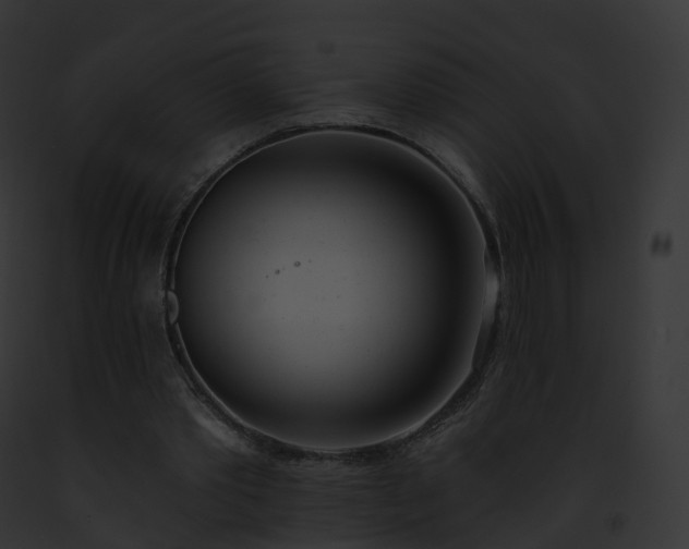 X0000093090389200710031443