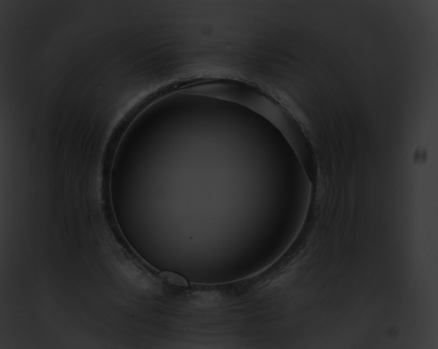 X0000093090391200710031443