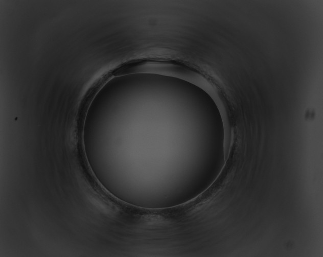 X0000093090392200710031443