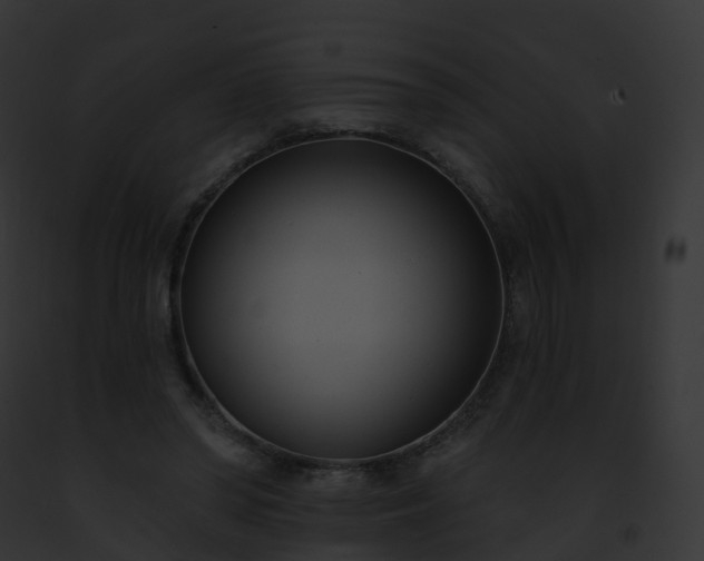 X0000093090398200710031442