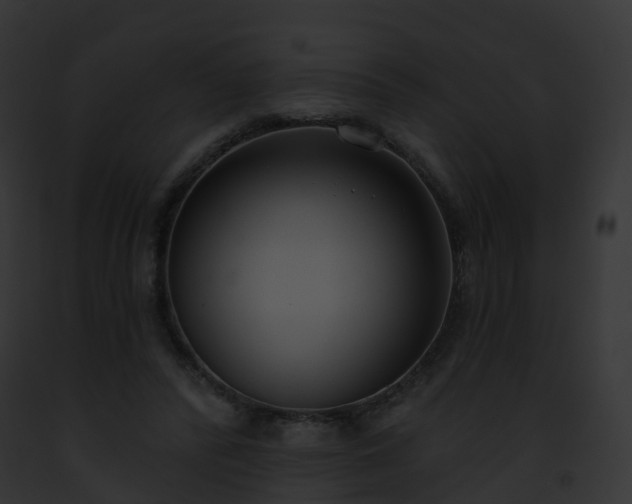 X0000093090400200710031442