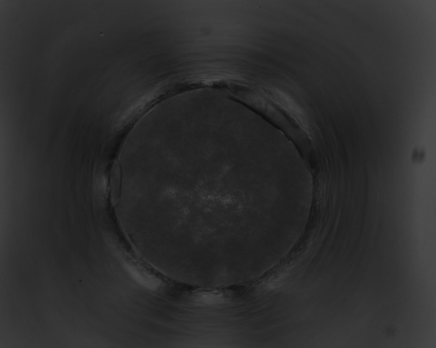 X0000093090405200710031442