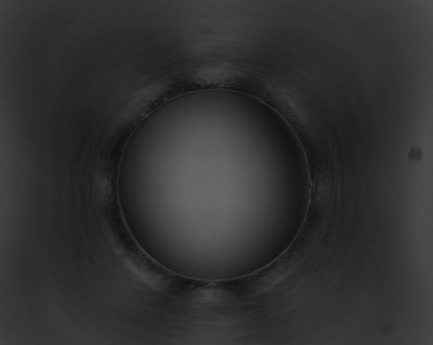 X0000093090408200710031442