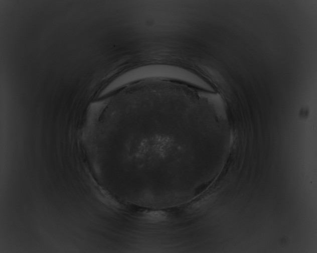 X0000093090409200710031442