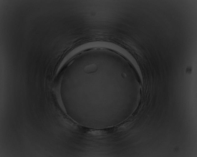 X0000093090417200710031442