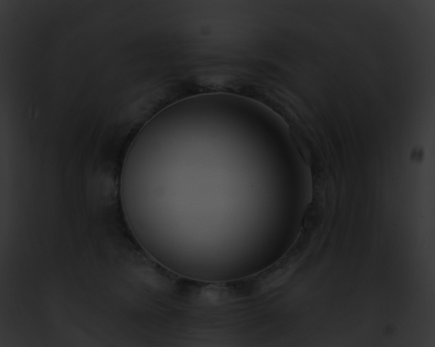 X0000093090420200710031442