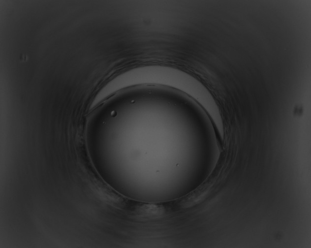 X0000093090421200710031442