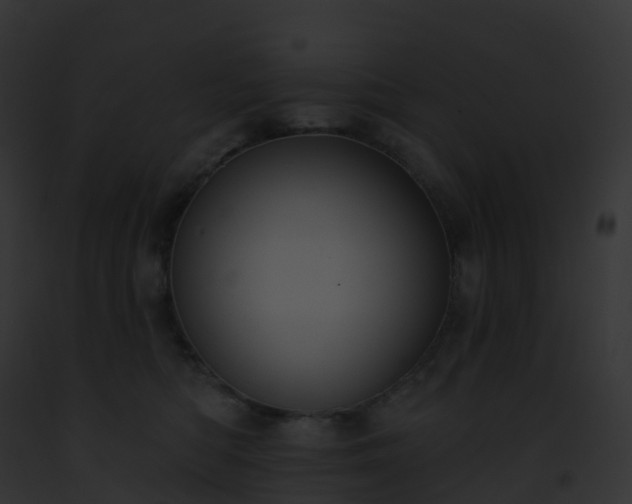 X0000093090422200710031442