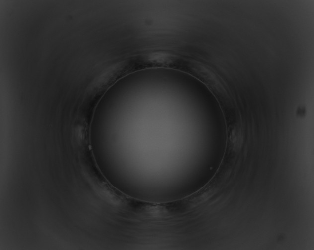 X0000093090424200710031442