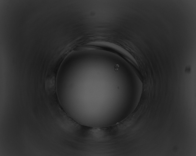X0000093090425200710031442