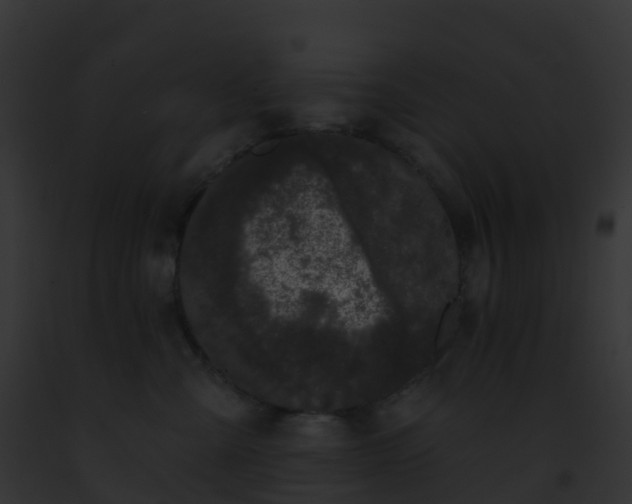 X0000093090427200710031442