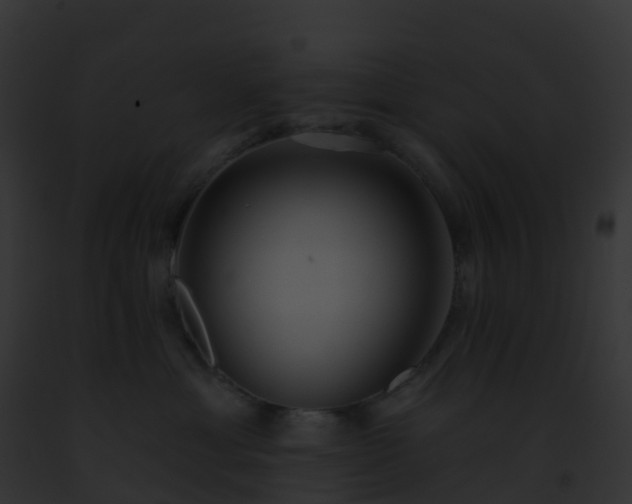 X0000093090429200710031442